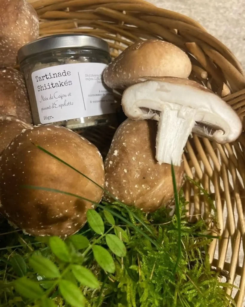 La Champignonne • produits végétaliens