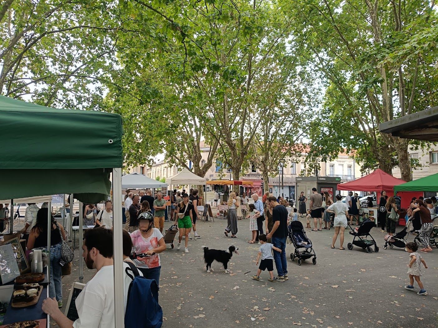 Green Market : Dimanche 1er novembre – place Gaviniès